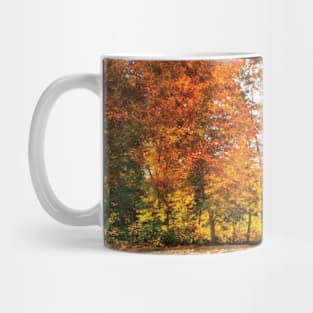 Golden Fall Picture Mug